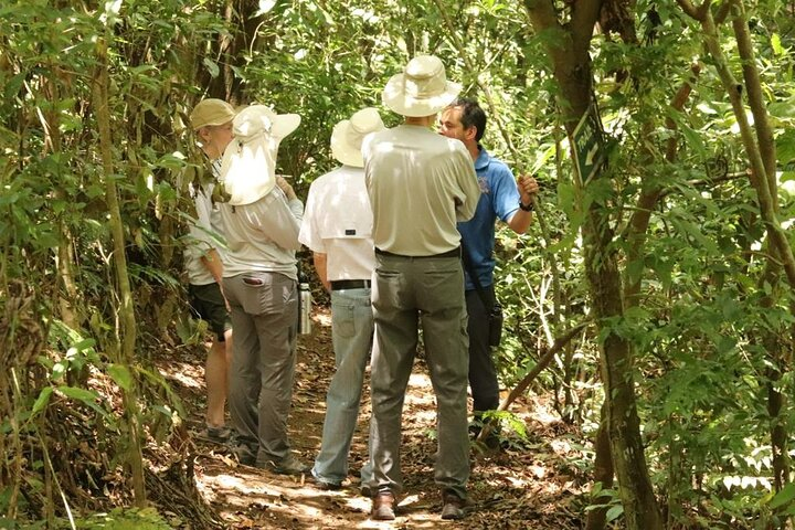 Authentic experience of Coffee, Cane and Caco inside the forest - Photo 1 of 11